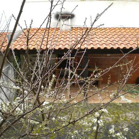 Casa De Praia E Floresta *